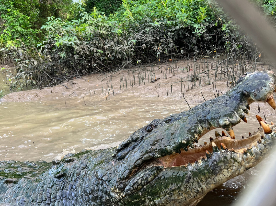Litchfield Escapes-达尔文市必去景点