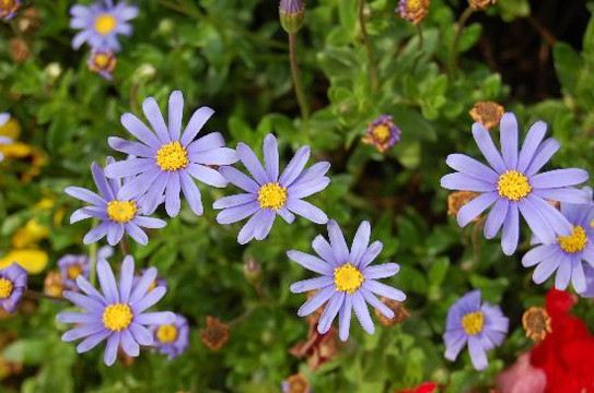上海植物园-上海市必去景点