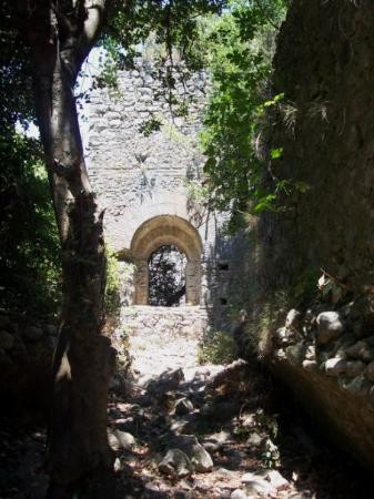 Olympos Archeological Site景点图片