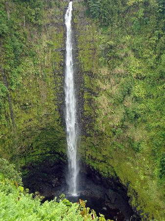 阿卡卡瀑布州立公园-希洛必去景点