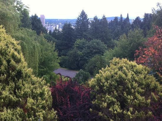 国际玫瑰试验园-波特兰必去景点