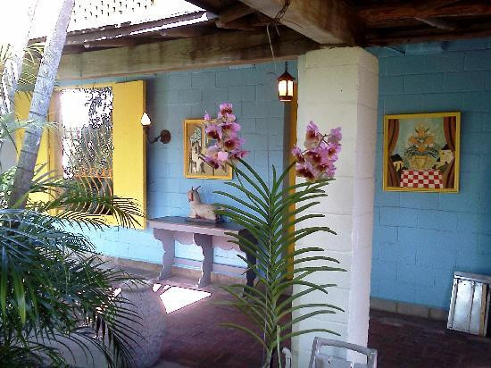 Bonnet House Museum and Gardens-劳德代尔堡必去景点