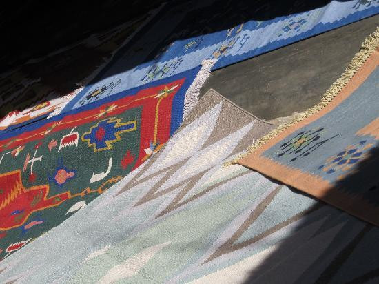 Bishnoi Village Safari-焦特布尔必去景点