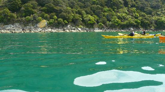 Wilsons Abel Tasman景点图片