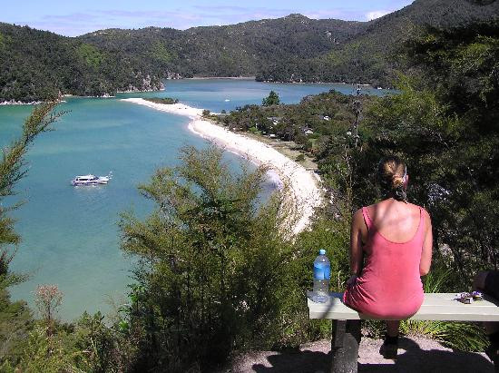 Wilsons Abel Tasman景点图片