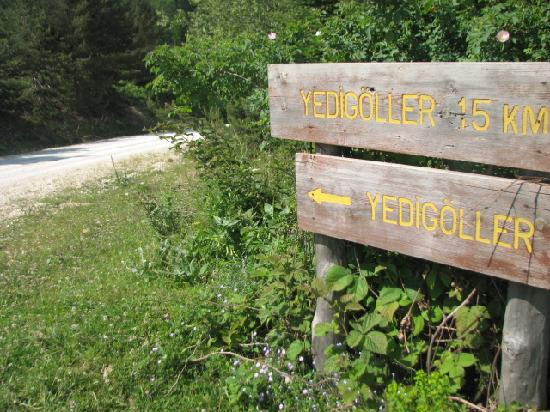 Yedigoller National Park景点图片