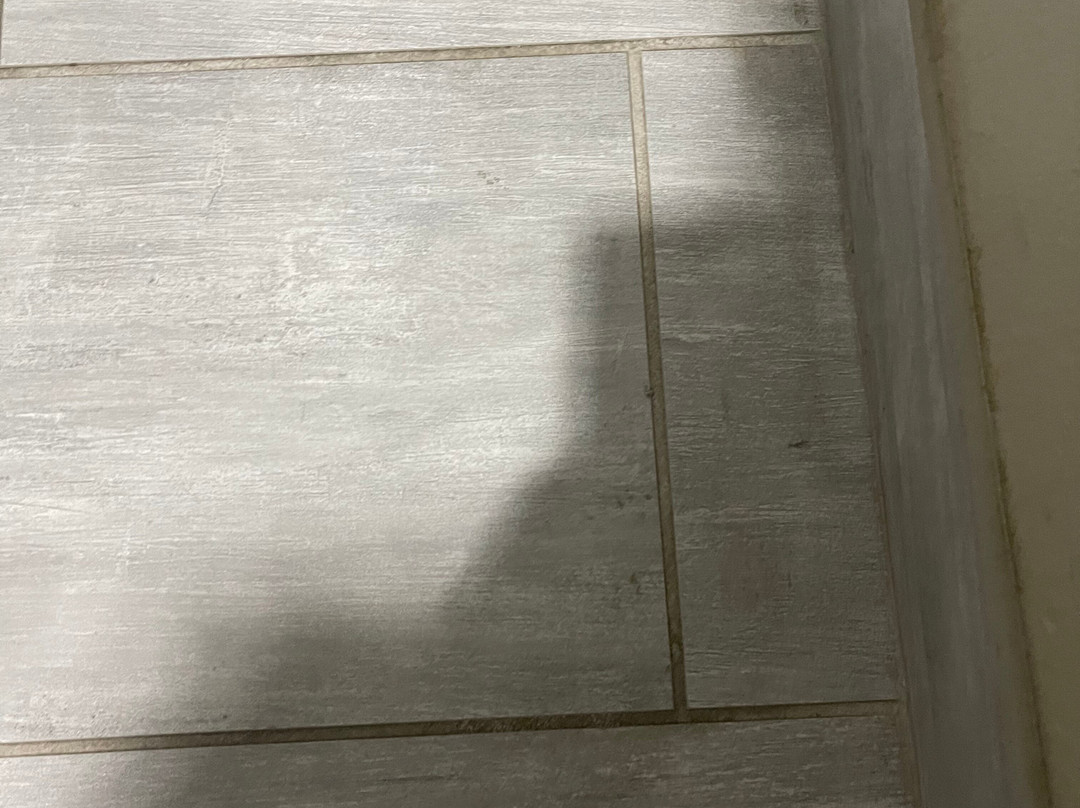 La Quinta Inn & Suites by Wyndham Montgomery主图