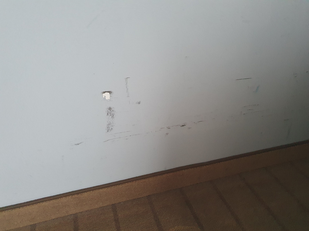 玛丽蒂姆莱茵斯堡酒店主图