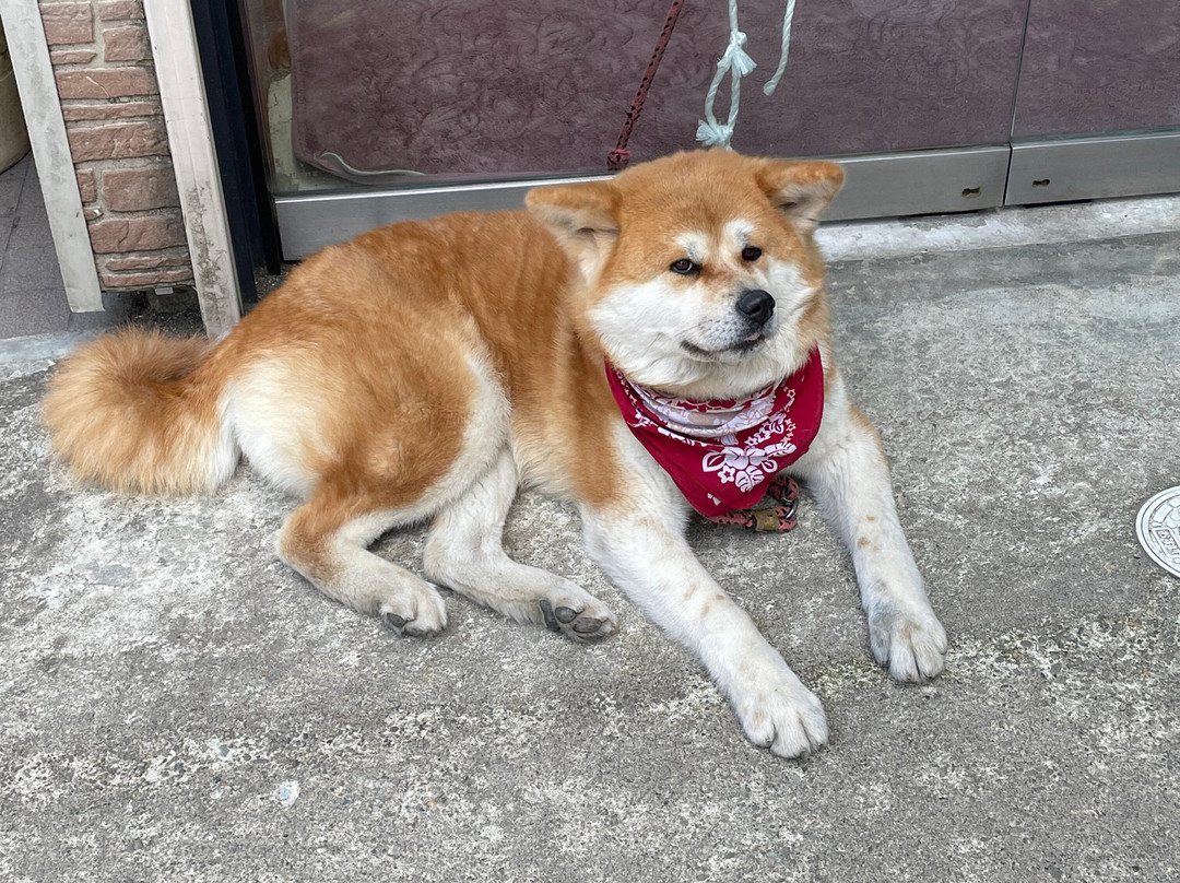 Kakunodate景点图片