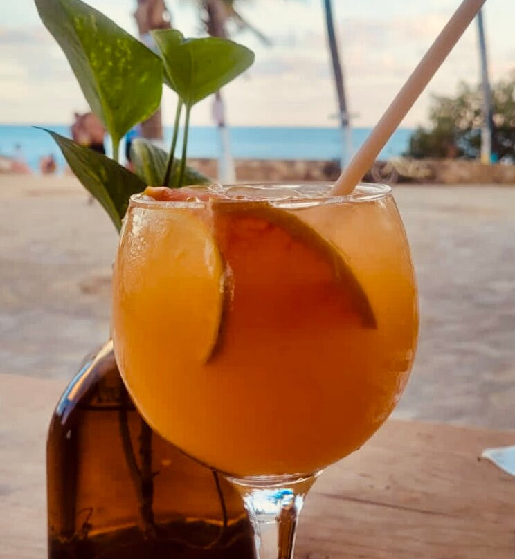 Punta Placer Bungalows主图