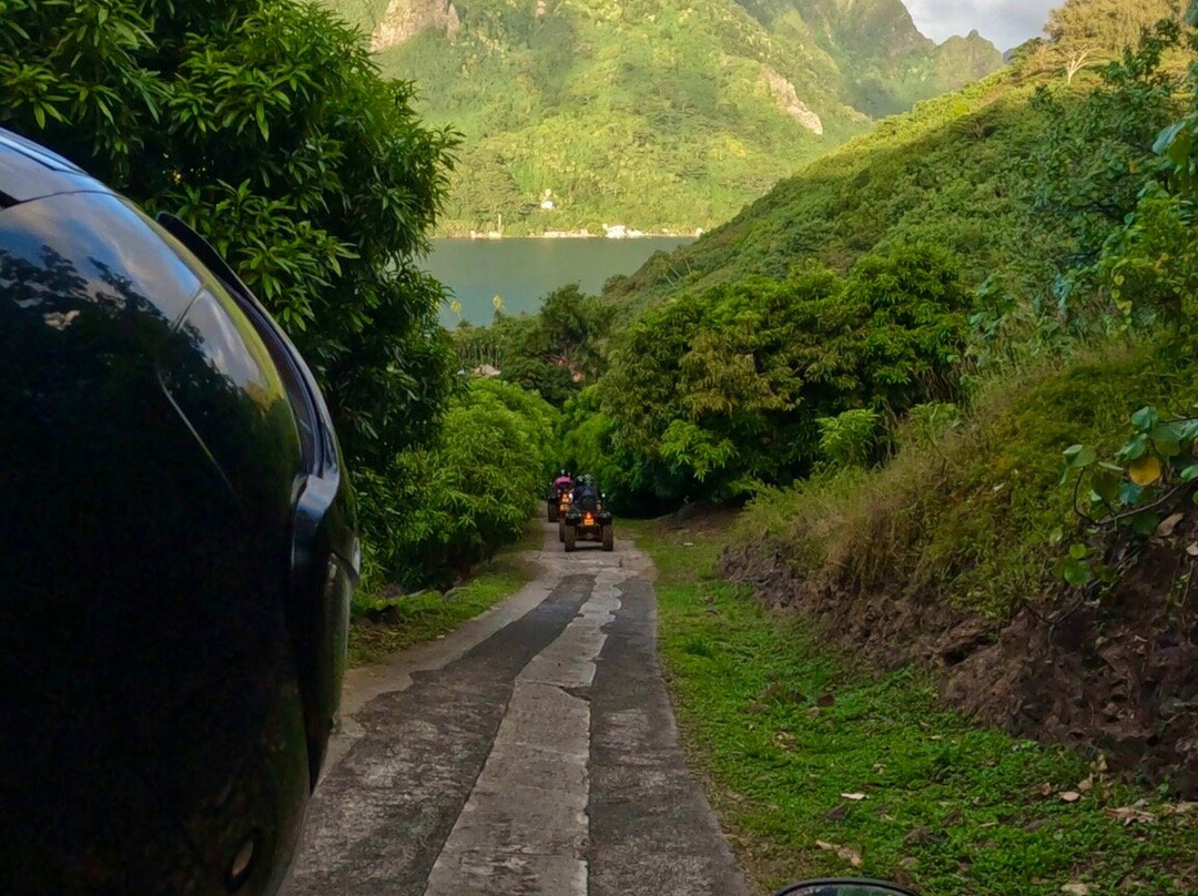 莫雷阿岛ATV之旅景点图片