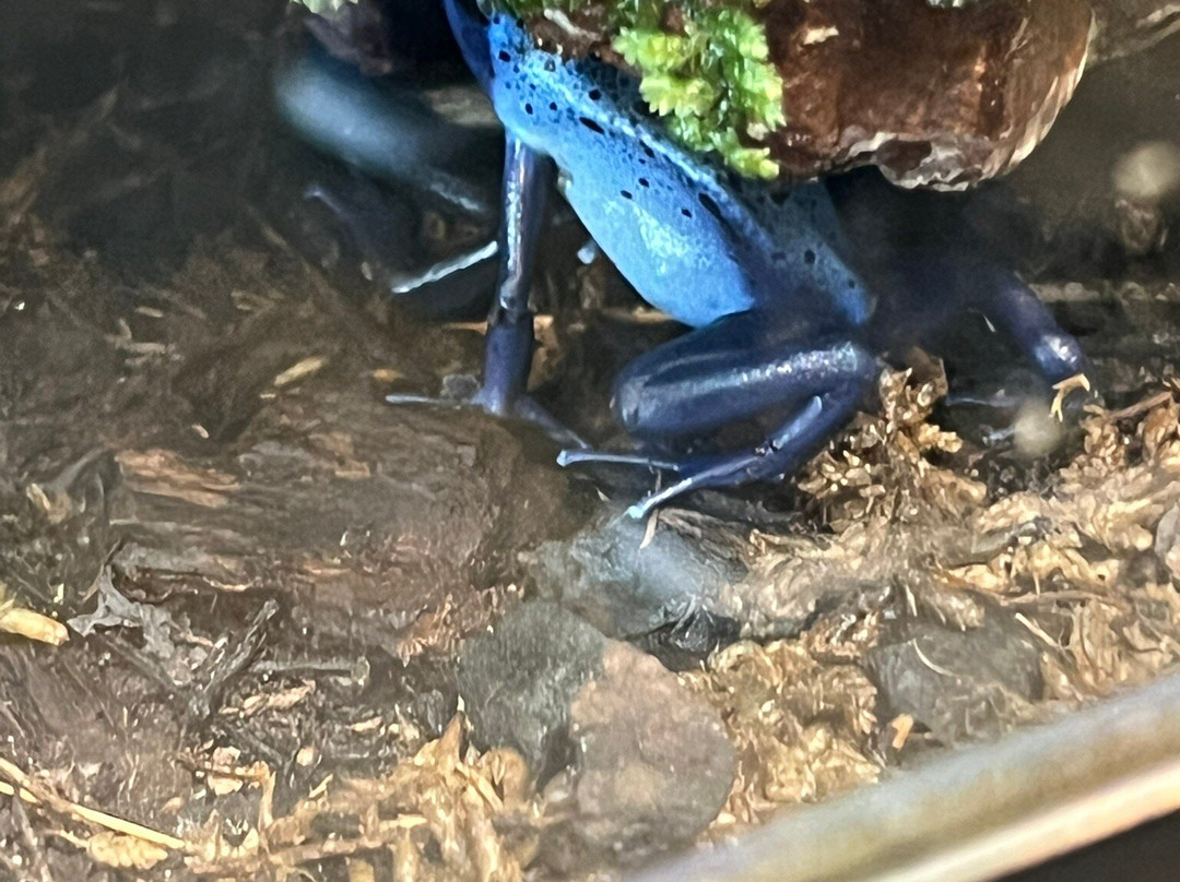 Science Mill-Johnson City必去景点