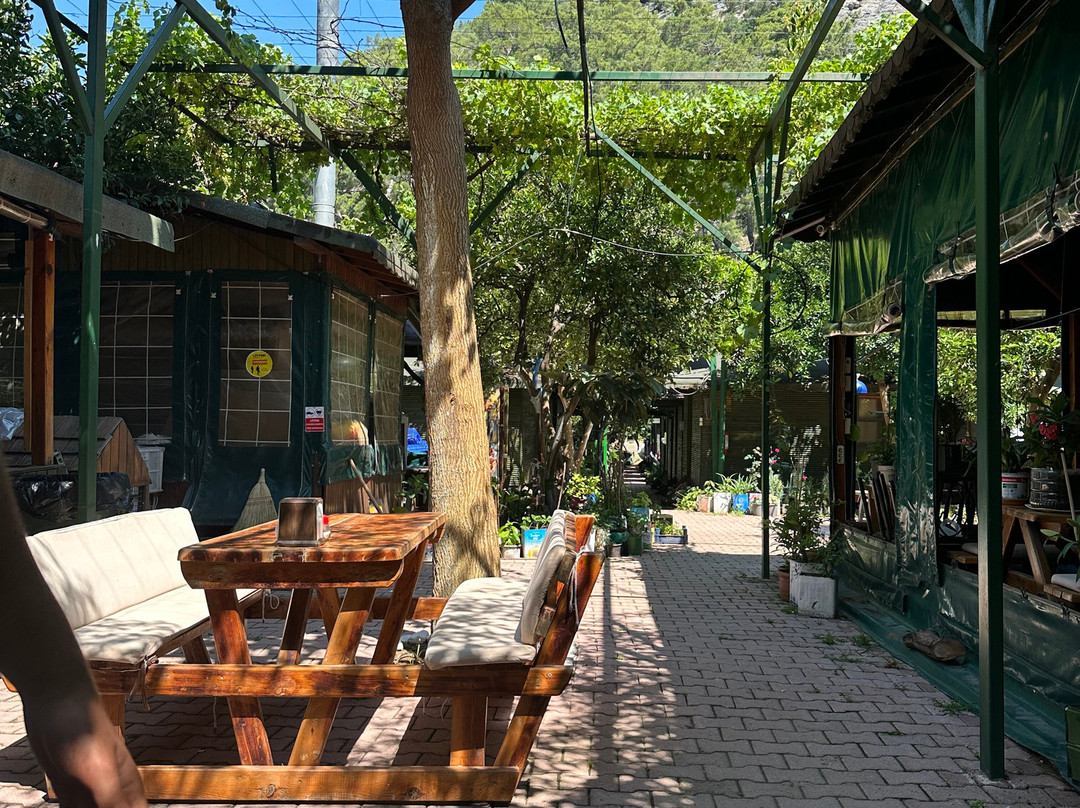 Olimpos Zeytin Pansiyon主图