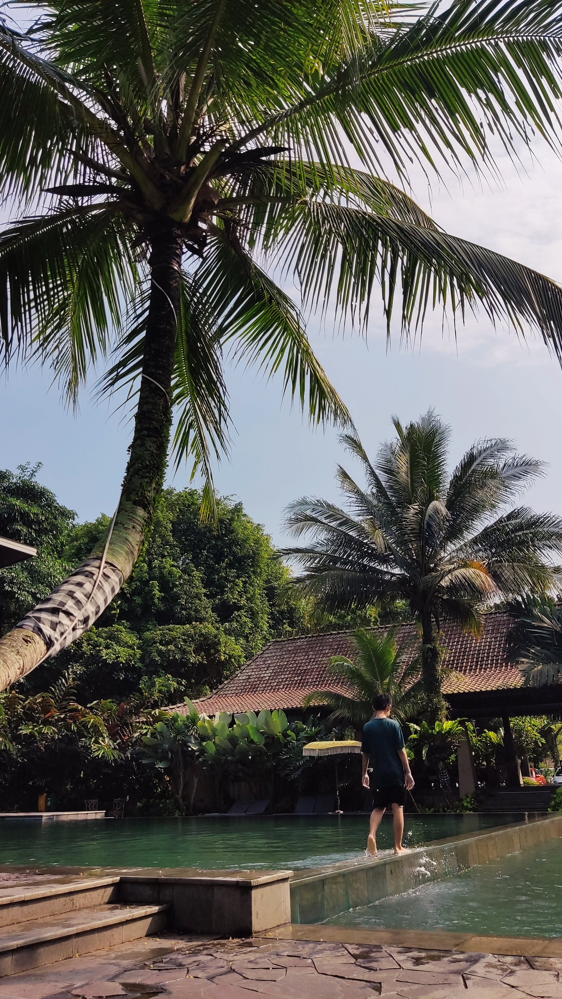 Amanuba Hotel & Resort Rancamaya-泳池