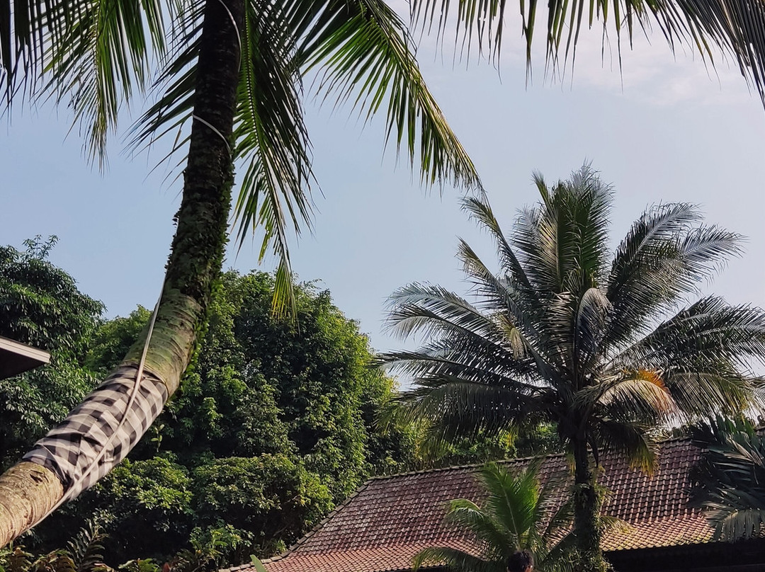 Amanuba Hotel & Resort Rancamaya主图