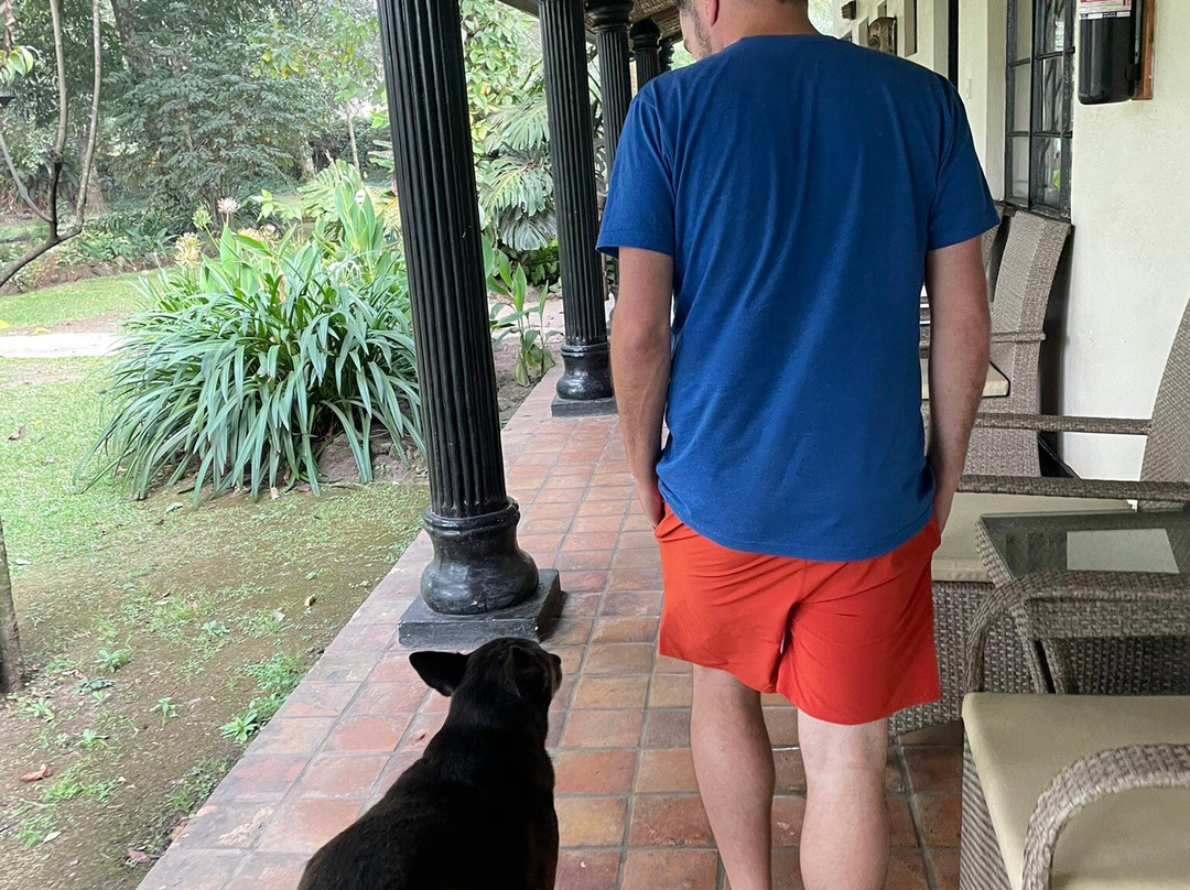 Travellers Rest Hotel主图