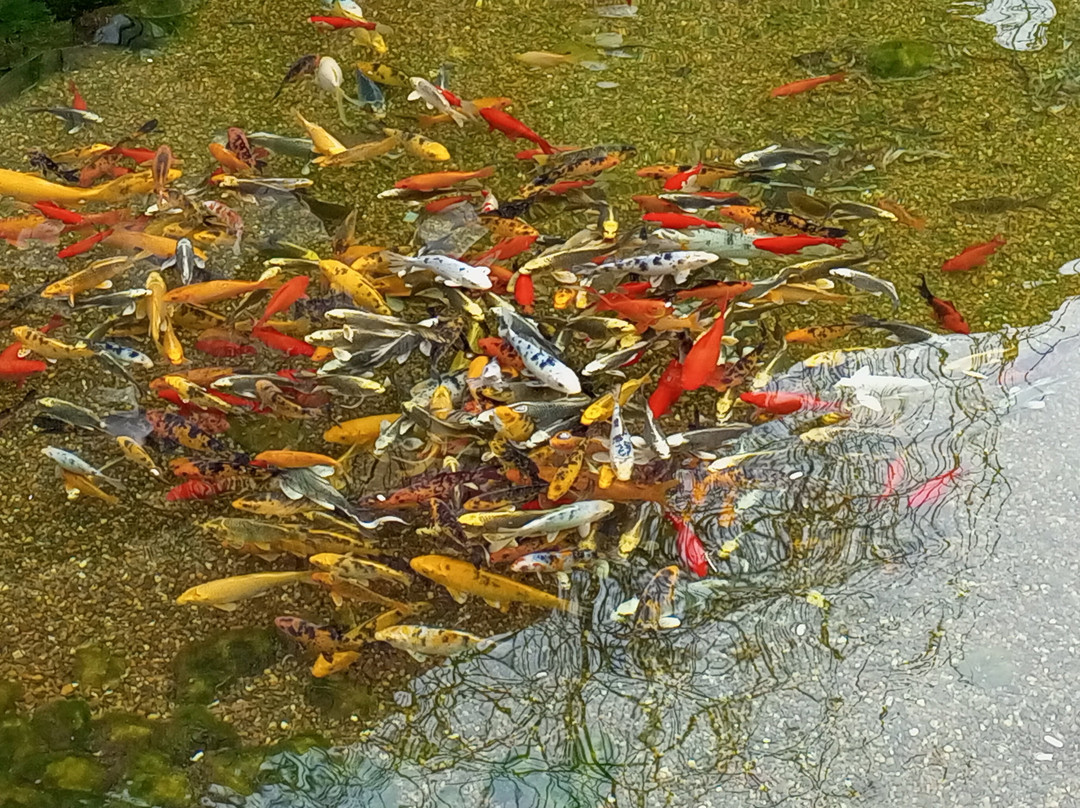 Farm Ishachok-Maloye Sadovoye必去景点