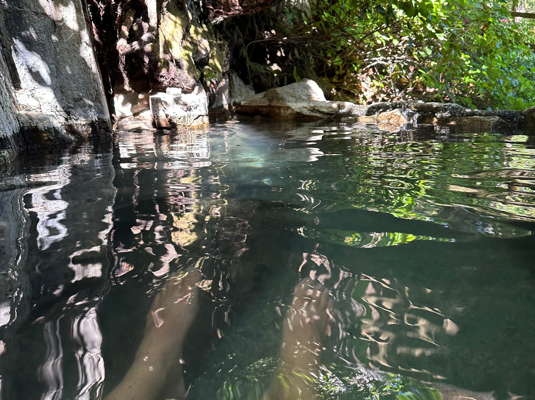 Bella Coola Grizzly Tours-Bella Coola必去景点