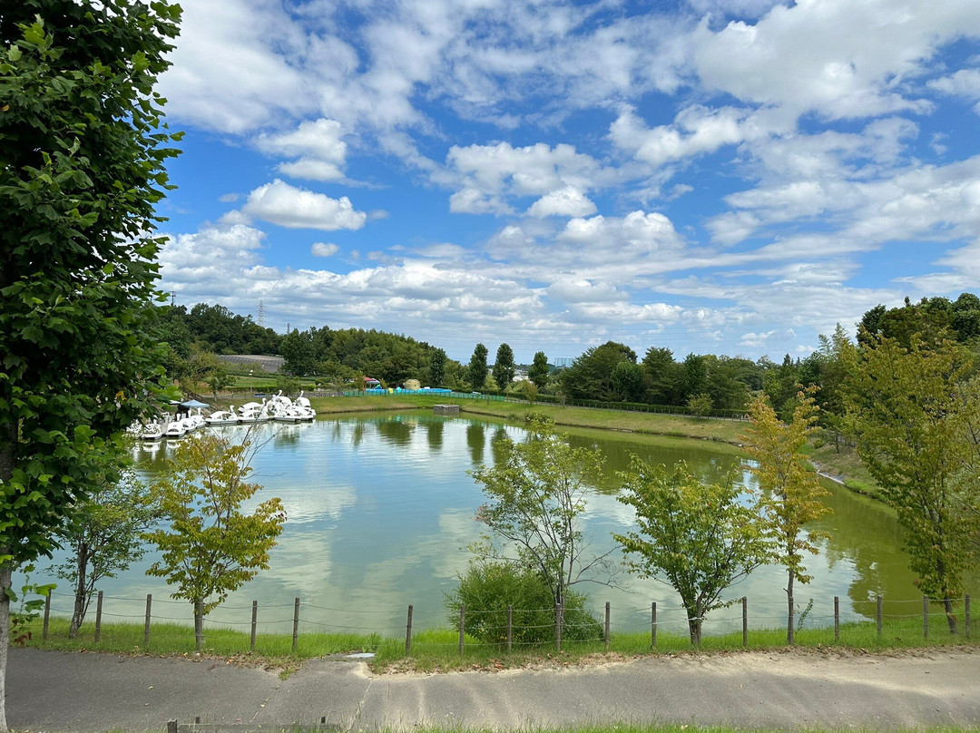 Harvest Hill-坂井市必去景点