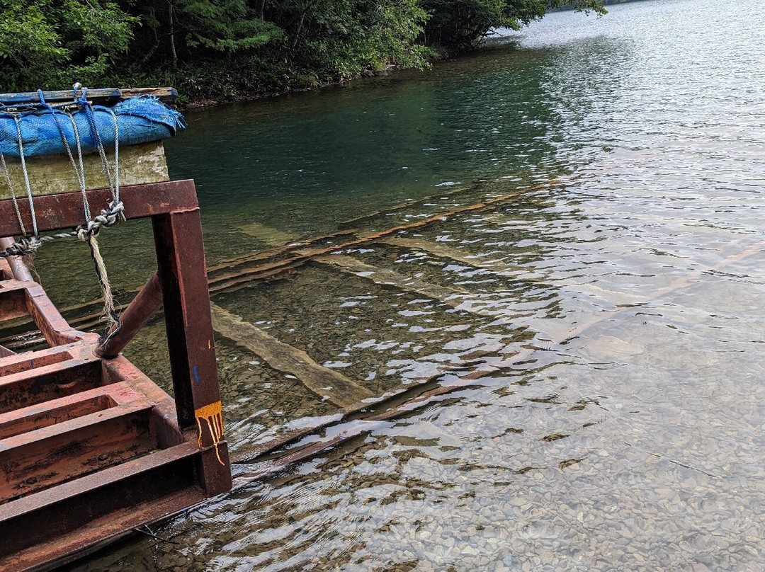 Lake Bottom Track-鹿追町必去景点
