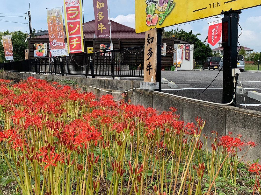 Yakachi River-半田市必去景点