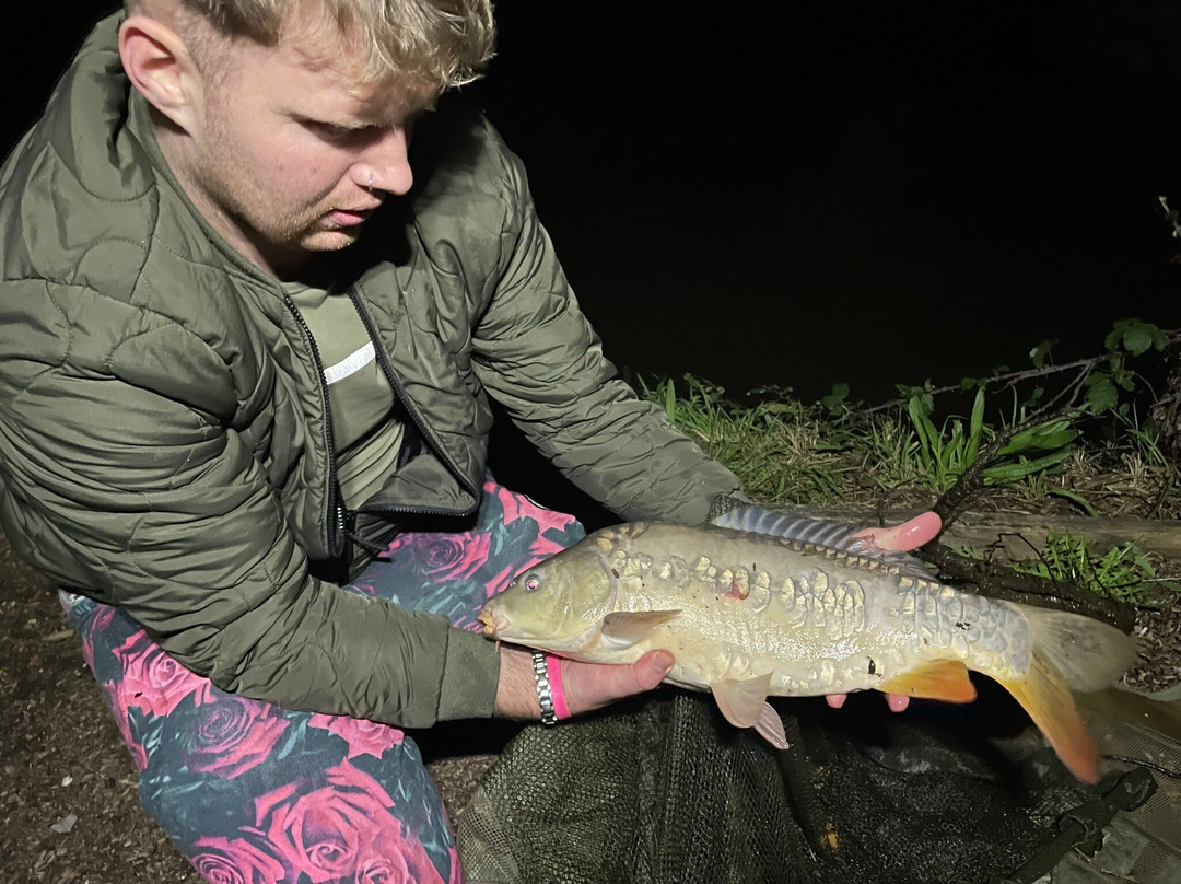 Luccombes Coarse Fishery-Exminster必去景点