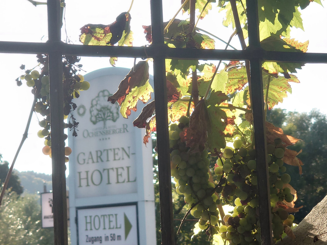 Garten-Hotel Ochensberger主图