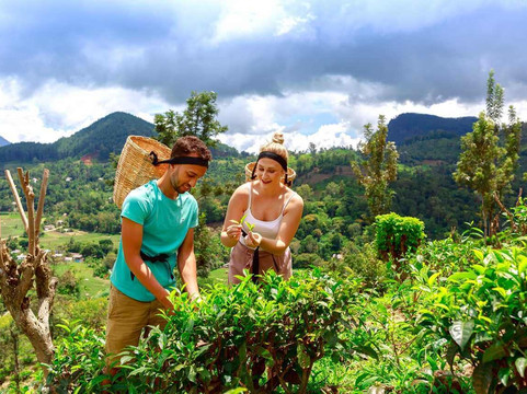 Ra Tours-马塔拉必去景点