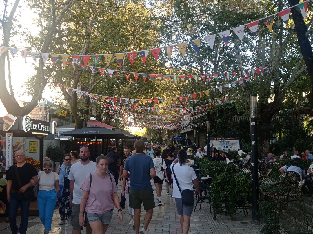 Centro storico di Tirana-地拉那必去景点