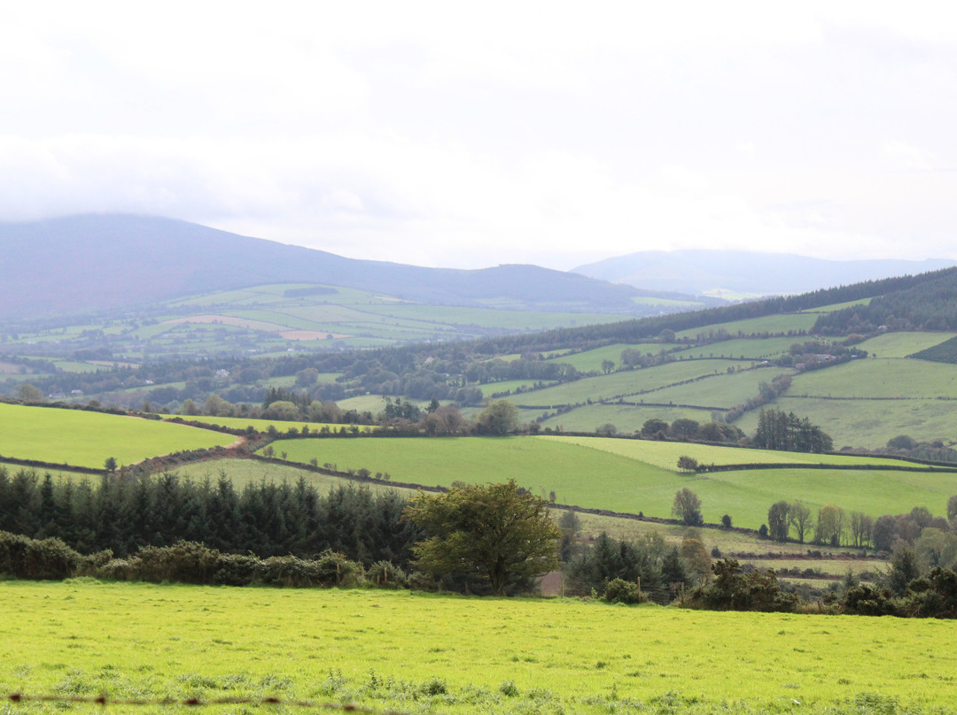 My Ireland Heritage Tours景点图片