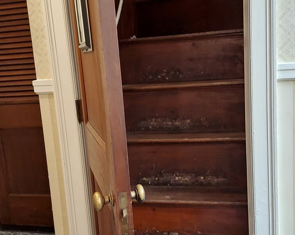 Black Point Inn主图