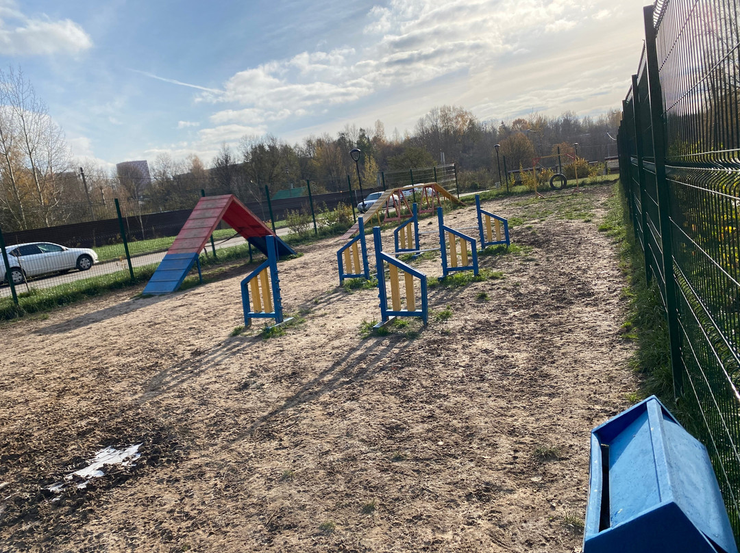 Recreation Area at the Lower Kamenskiy Pond景点图片