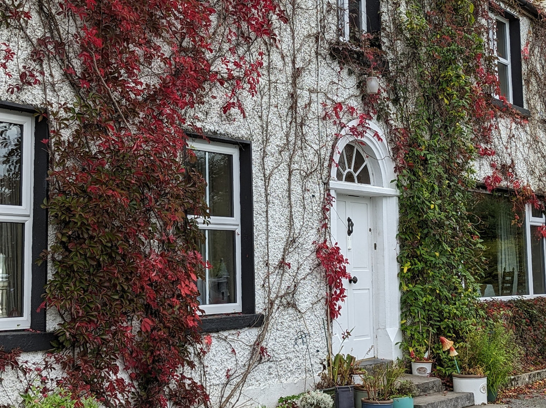 Corrib View Country House主图