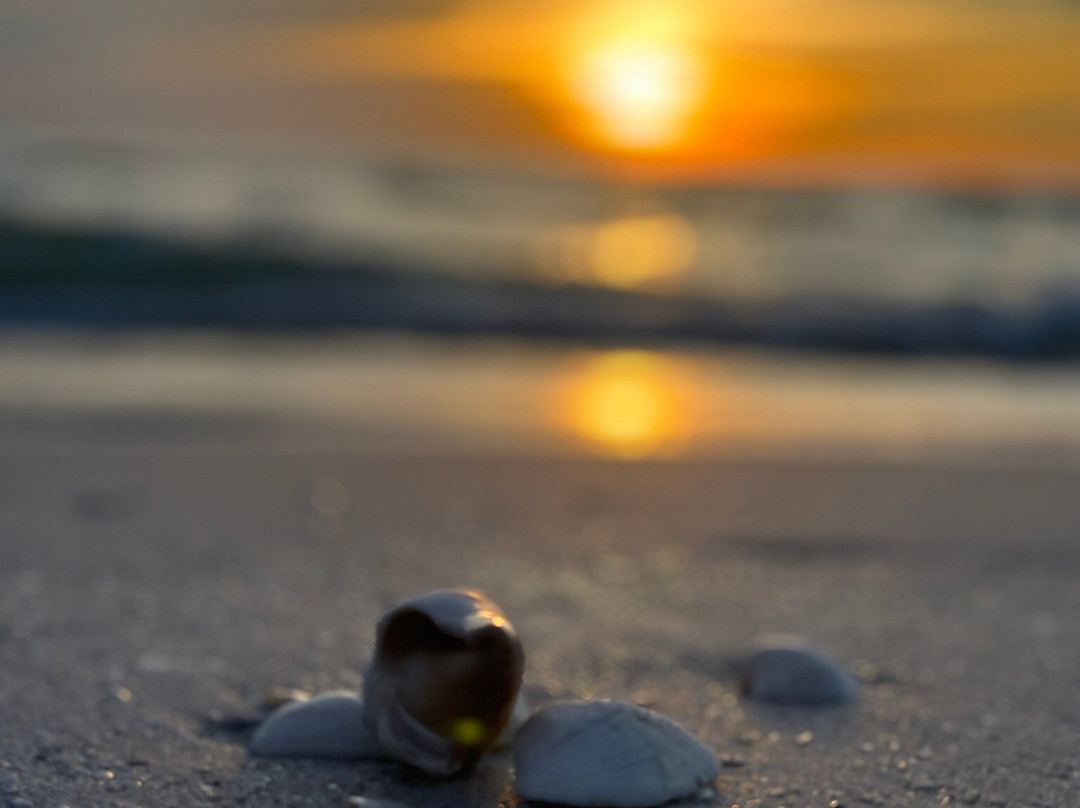 Get Up And Go Kayaking - Naples-博尼塔斯普林斯必去景点