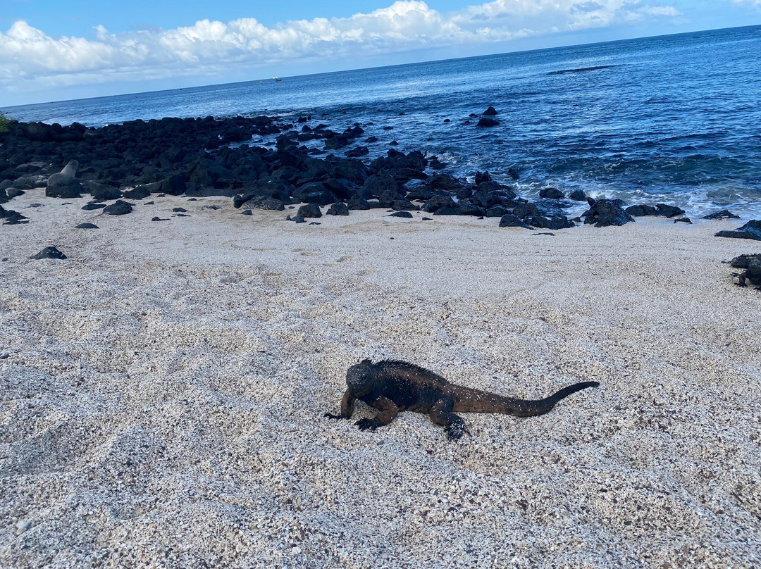 GALAPAGOS ECUADOORS-圣克鲁斯必去景点
