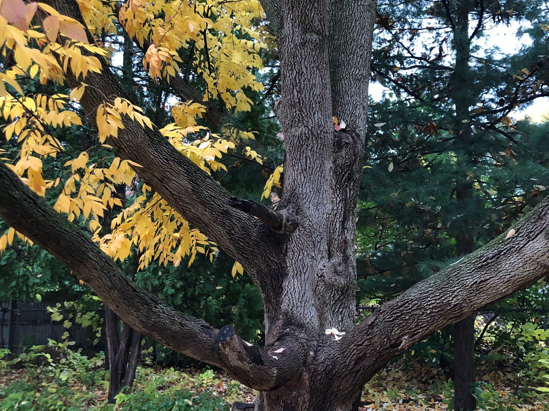 Aldo Leopold Nature Center-Monona必去景点