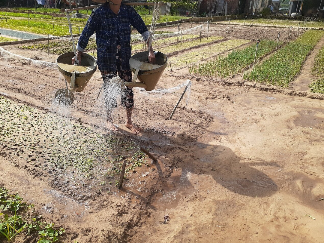 SUNRISE TOUR-会安必去景点
