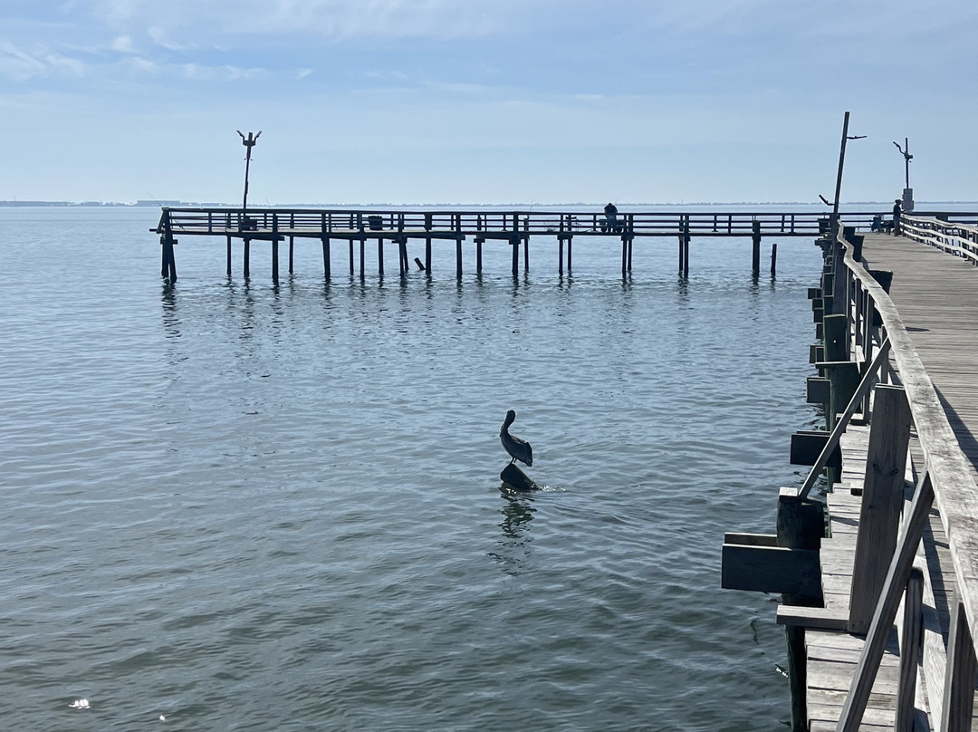 Cedar Point Pier-Coden必去景点