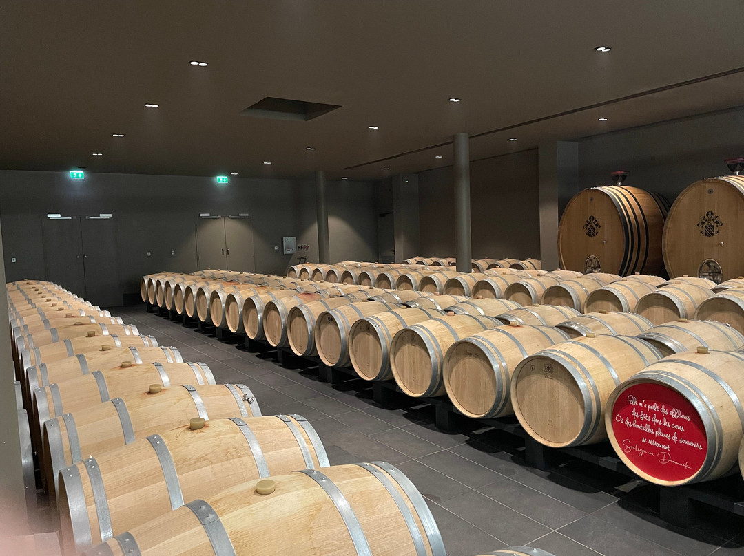 La Maison Cardinale-Saint-Etienne-De-Lisse必去景点