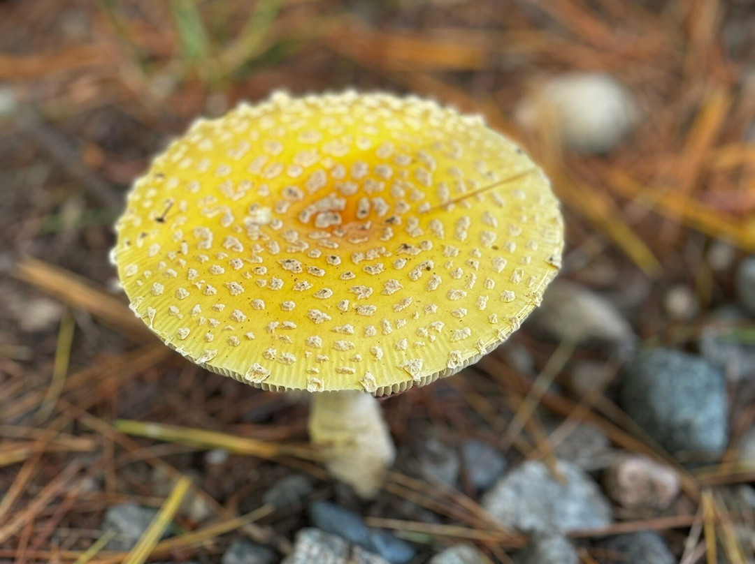 Fairfield Inn & Suites Boston Marlborough/Apex Center主图