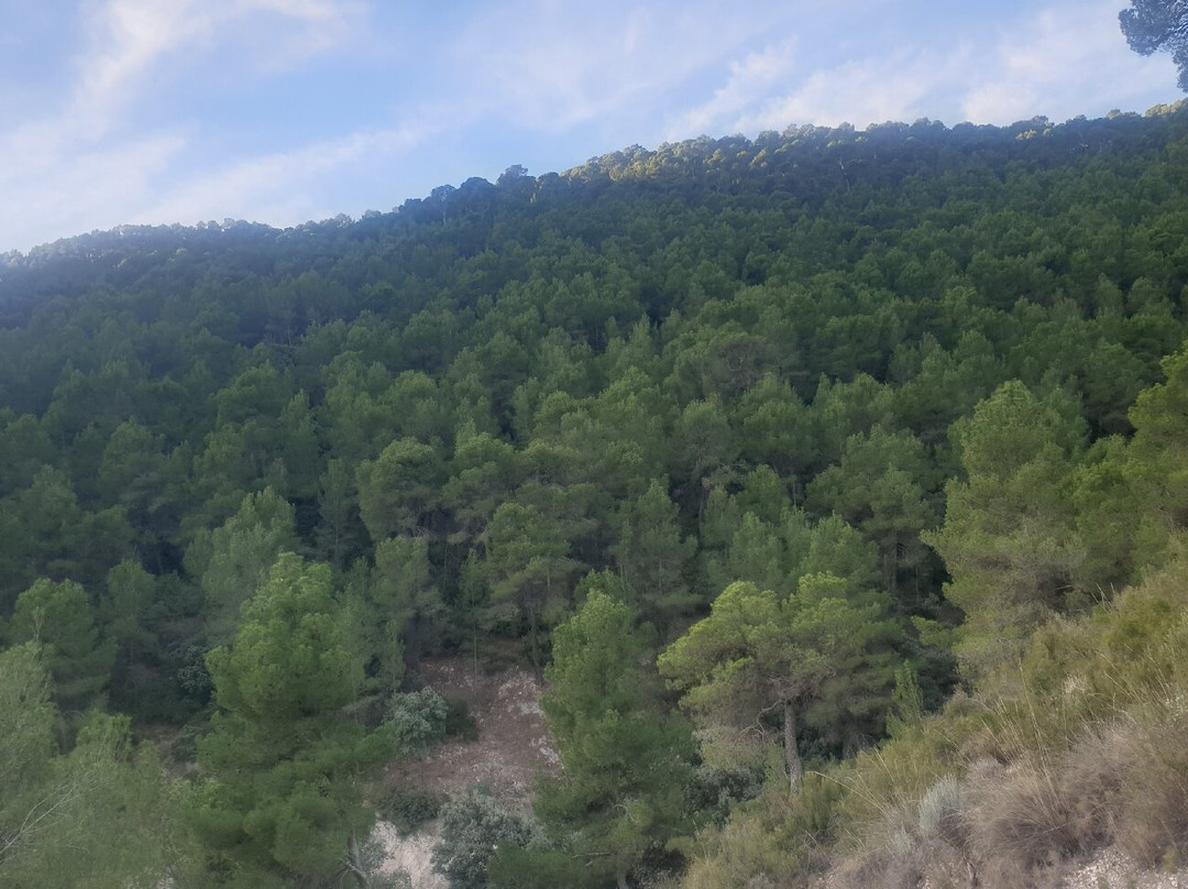 Alto de las Chimeneas景点图片
