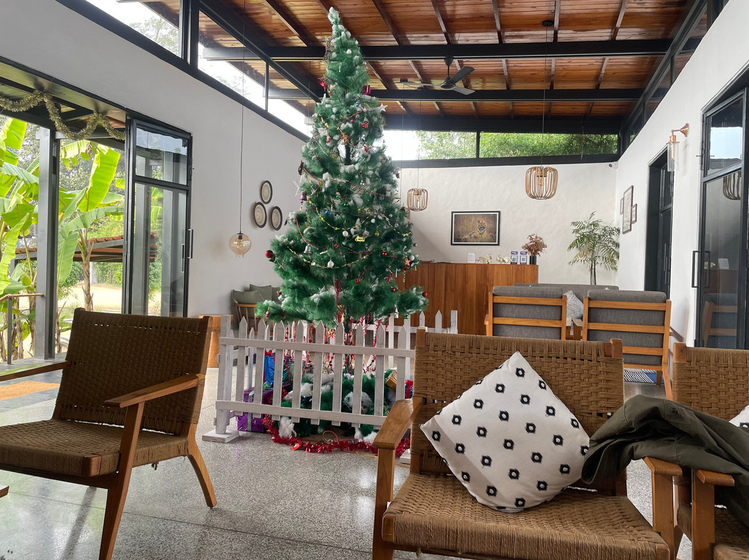 Bori Safari Lodge主图