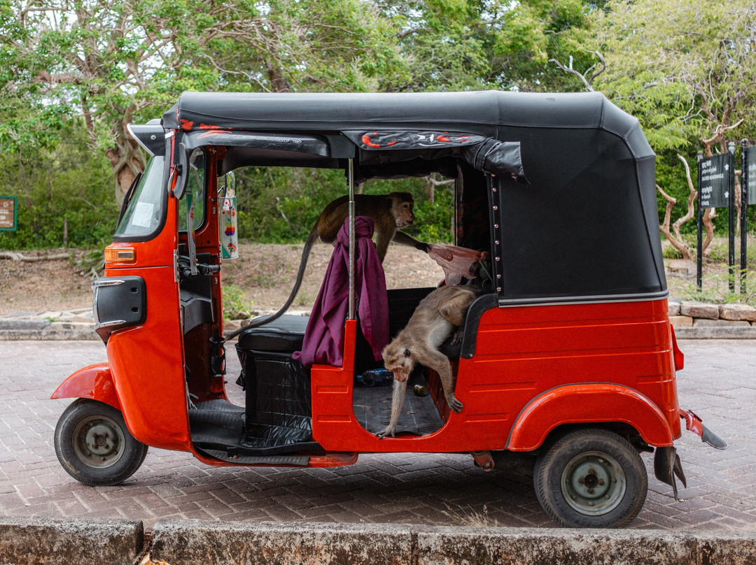 Sri Lanka Driver Hires景点图片