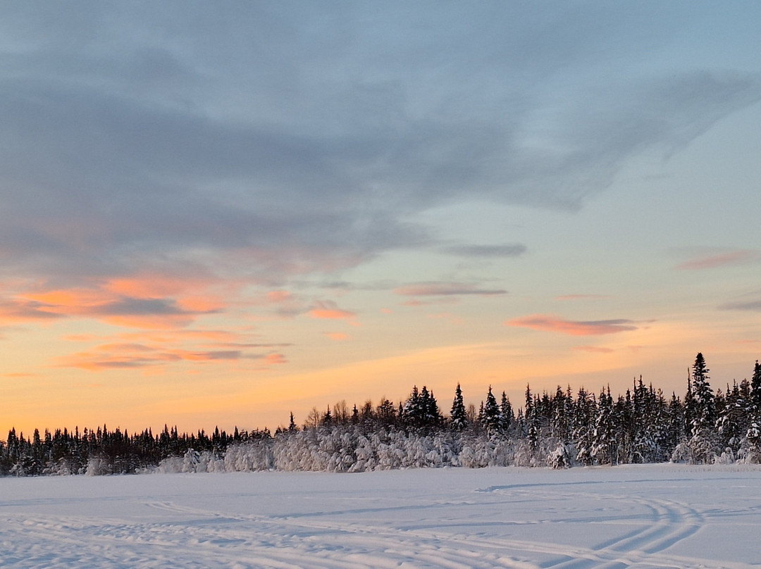 Lapland Safaris Yllas景点图片