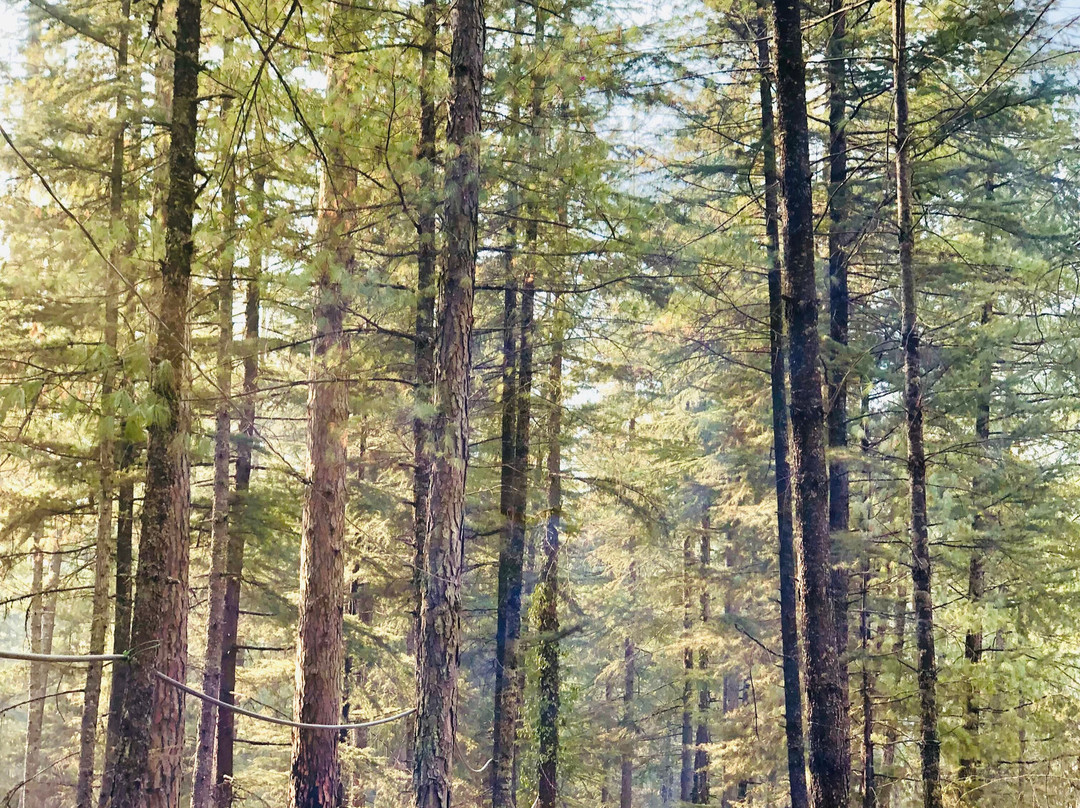 HumTripWale-默纳利必去景点