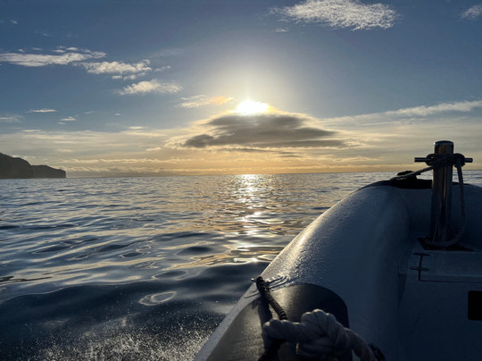 Blue Safari Madeira-沙尔必去景点