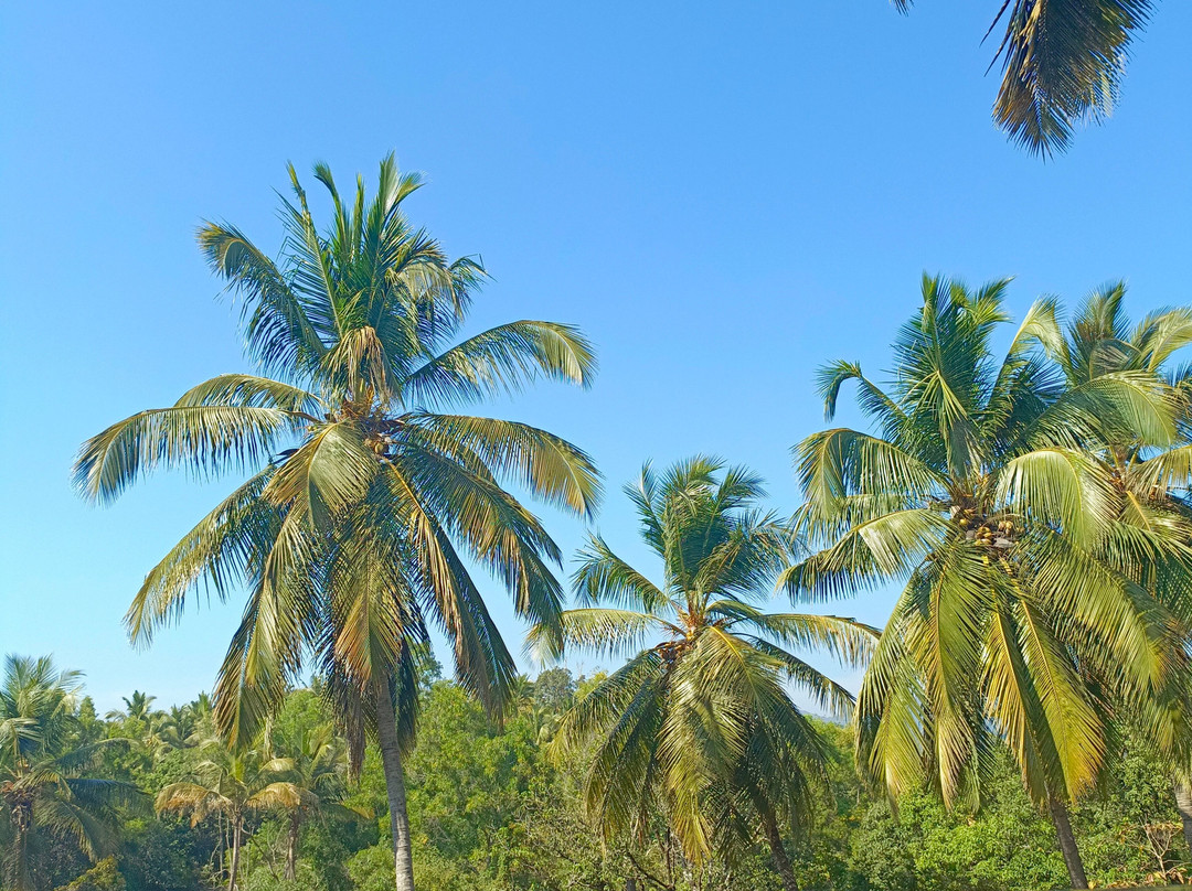 Patnem Palolem Beach Apart主图
