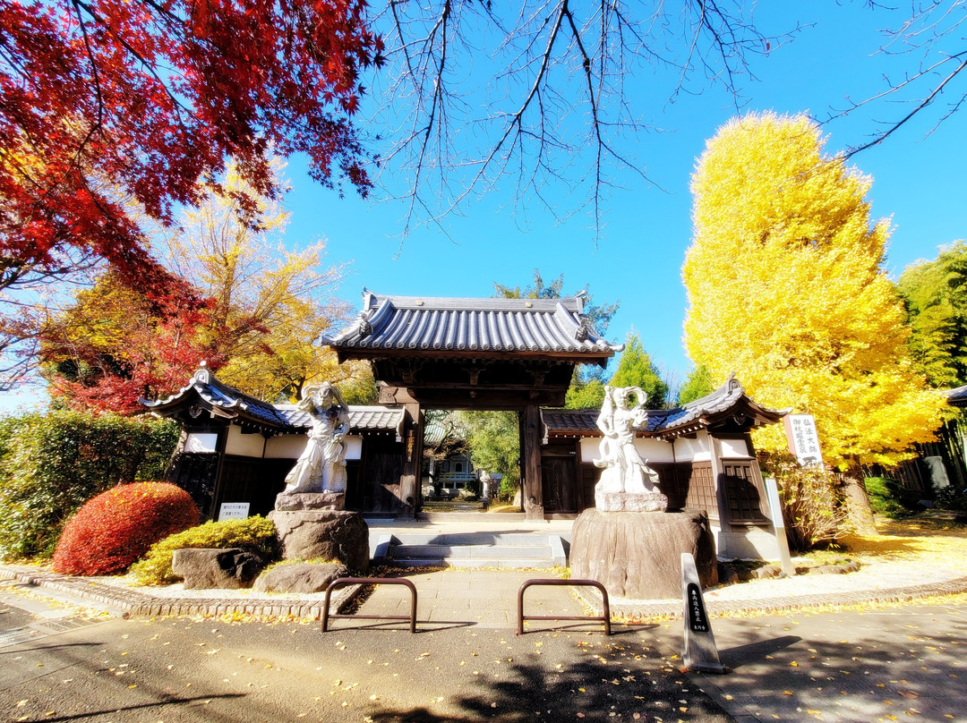 Toen-ji Temple-朝霞市必去景点