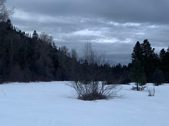 Pine River Ranch主图