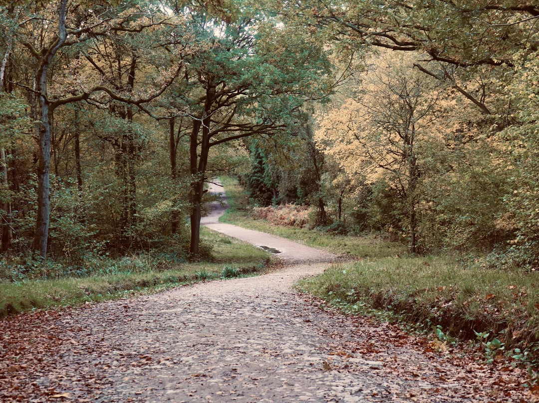 Oversley Wood-Alcester必去景点